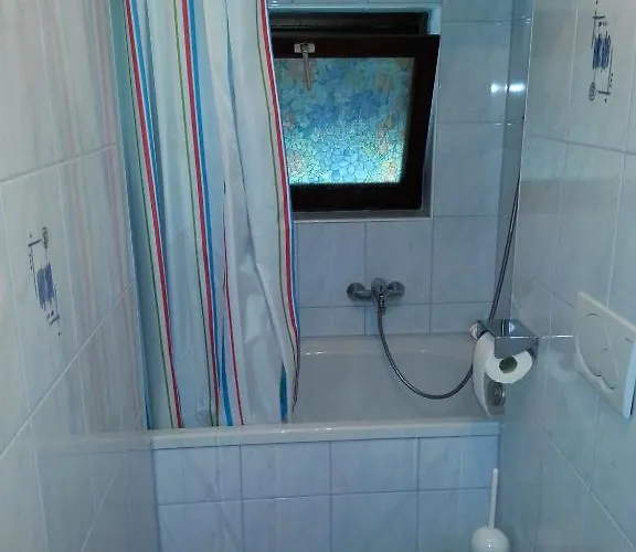 Fichtenblockhuette *