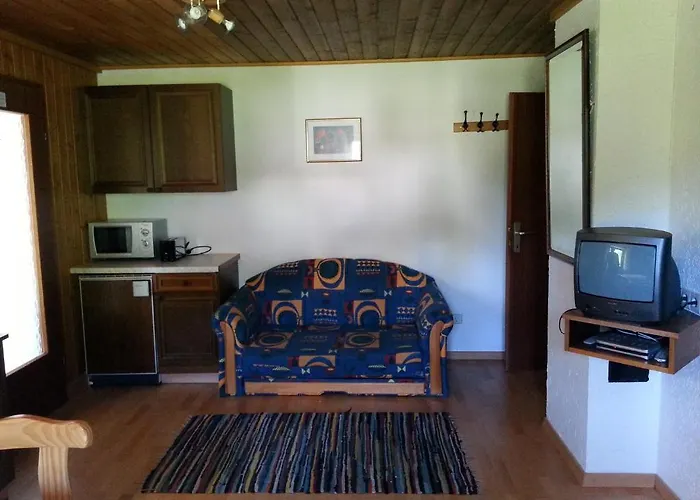 Fichtenblockhuette *